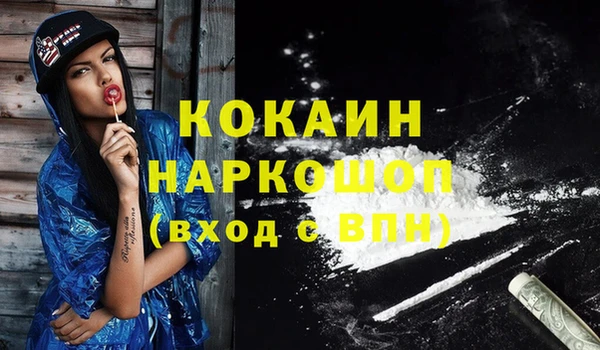 хмурый Алексин