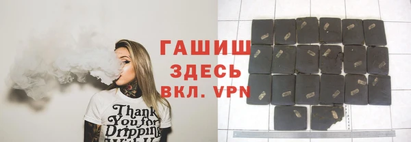 хмурый Алексин