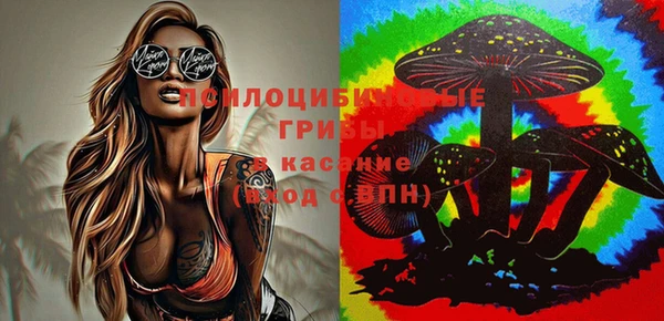 хмурый Алексин